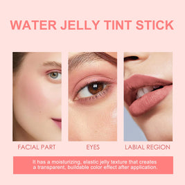 Blush Lip Gloss Stick - HaiyiBeauty