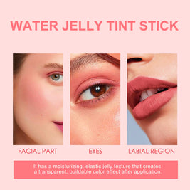 Blush Lip Gloss Stick - HaiyiBeauty