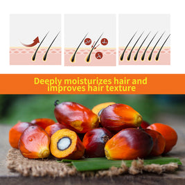 DIMOT Hair Growth Oil Batana - HaiyiBeauty