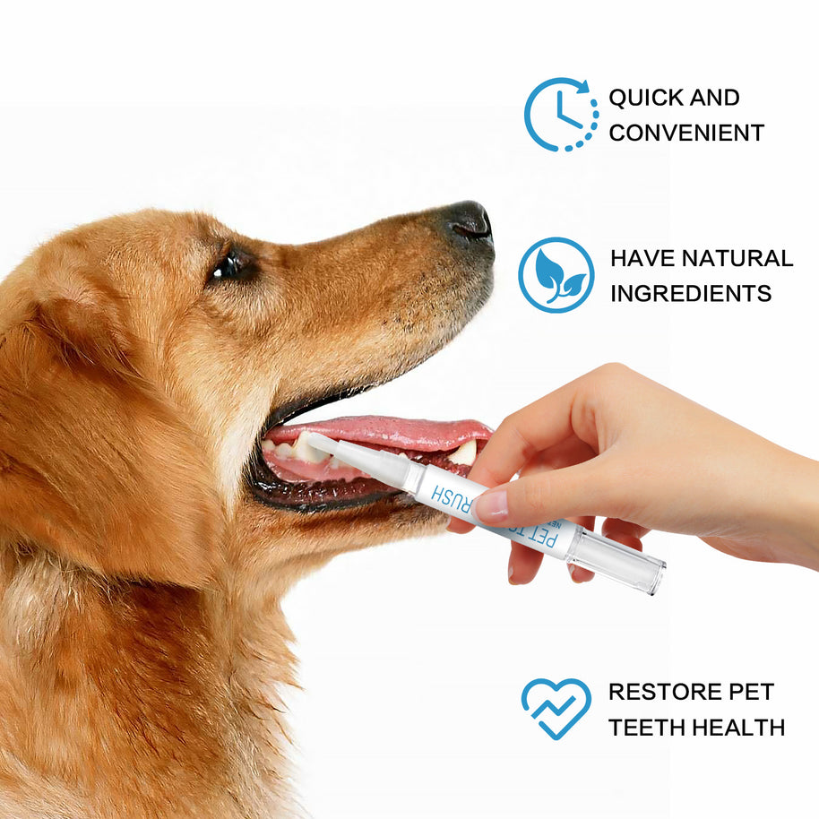 Gentle Pet Toothbrush - HaiyiBeauty